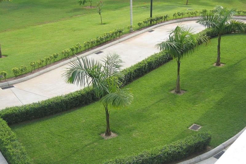 advantage of landscaping